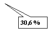 Прямоугольная выноска: 30,6 %